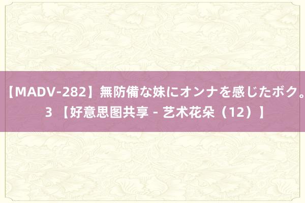 【MADV-282】無防備な妹にオンナを感じたボク。 3 【好意思图共享 - 艺术花朵（12）】
