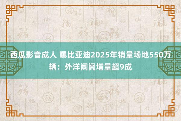 西瓜影音成人 曝比亚迪2025年销量场地550万辆：外洋阛阓增量超9成