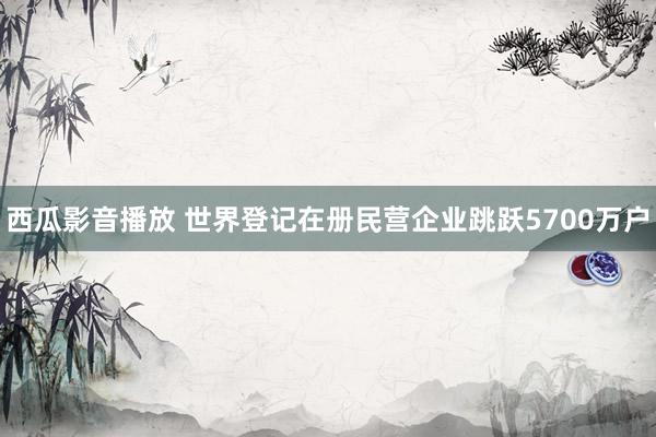 西瓜影音播放 世界登记在册民营企业跳跃5700万户