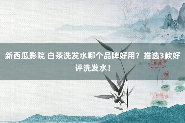新西瓜影院 白茶洗发水哪个品牌好用？推选3款好评洗发水！