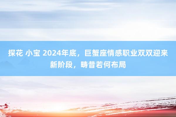 探花 小宝 2024年底，巨蟹座情感职业双双迎来新阶段，畴昔若何布局