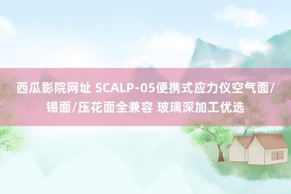 西瓜影院网址 SCALP-05便携式应力仪空气面/锡面/压花面全兼容 玻璃深加工优选