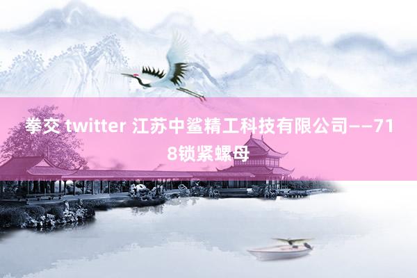 拳交 twitter 江苏中鲨精工科技有限公司——718锁紧螺母