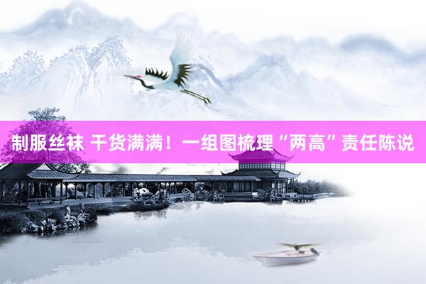 制服丝袜 干货满满！一组图梳理“两高”责任陈说