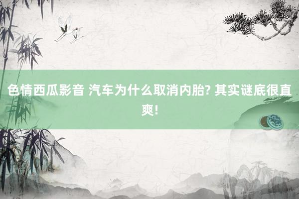 色情西瓜影音 汽车为什么取消内胎? 其实谜底很直爽!