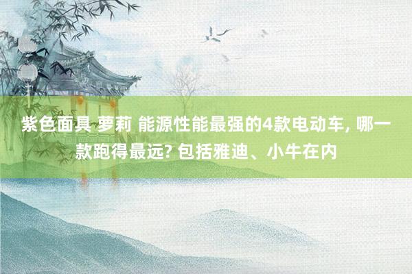 紫色面具 萝莉 能源性能最强的4款电动车, 哪一款跑得最远? 包括雅迪、小牛在内