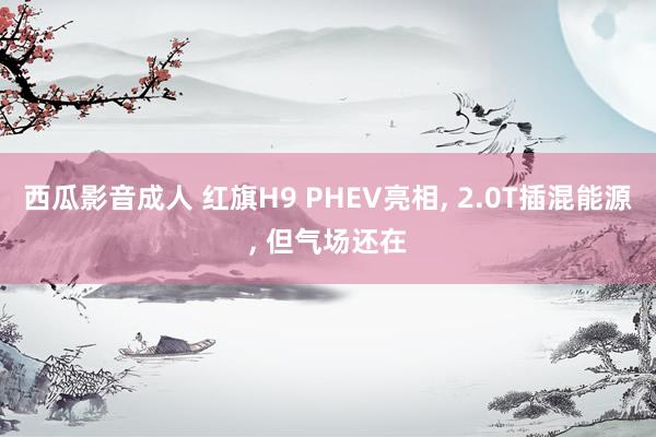 西瓜影音成人 红旗H9 PHEV亮相, 2.0T插混能源, 但气场还在
