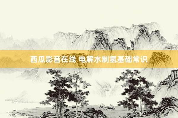 西瓜影音在线 电解水制氢基础常识