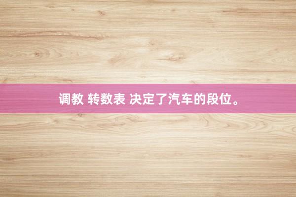 调教 转数表 决定了汽车的段位。