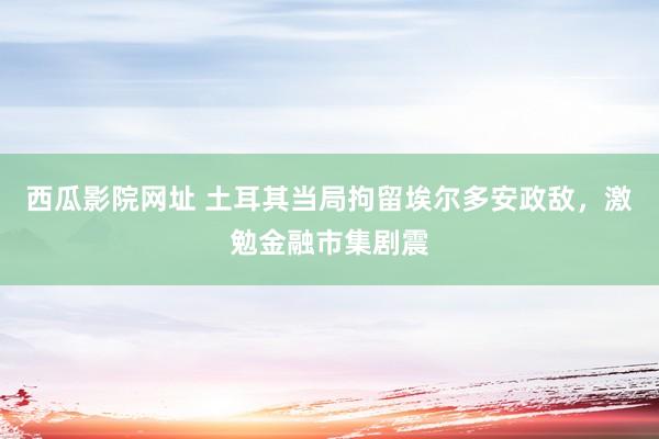 西瓜影院网址 土耳其当局拘留埃尔多安政敌，激勉金融市集剧震